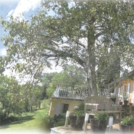 Maison D'Hotes Du Vert Vallon Theize Экстерьер фото