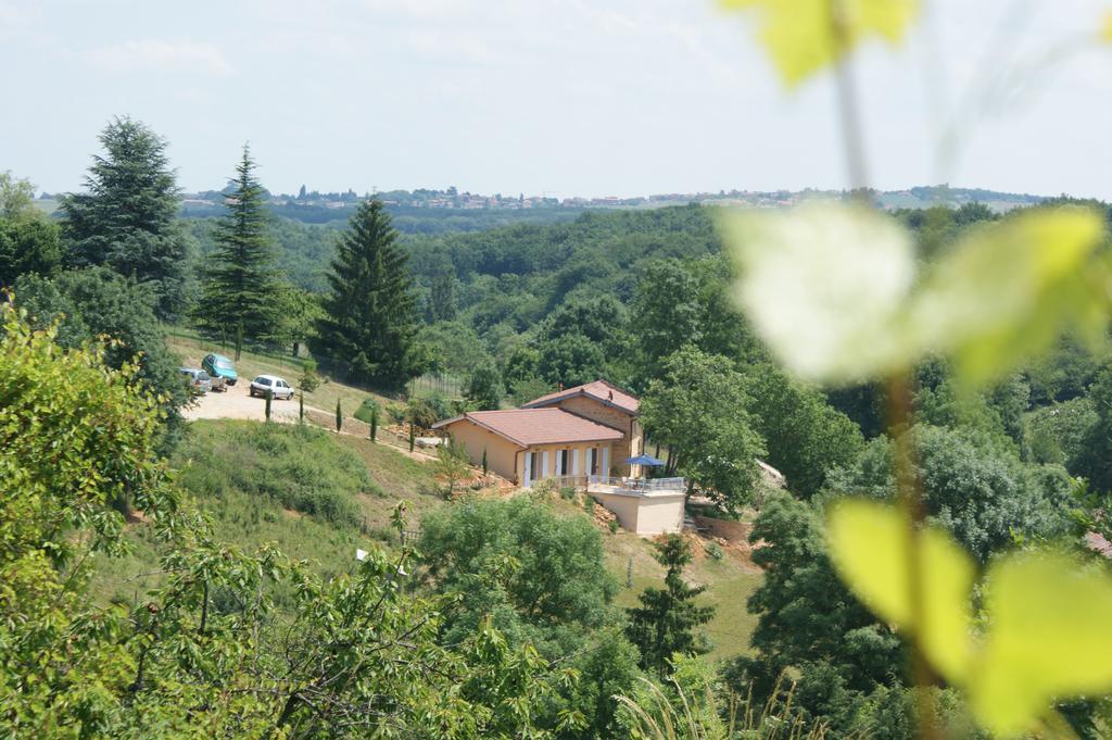 Maison D'Hotes Du Vert Vallon Theize Экстерьер фото